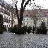 Regensburg Erasmus