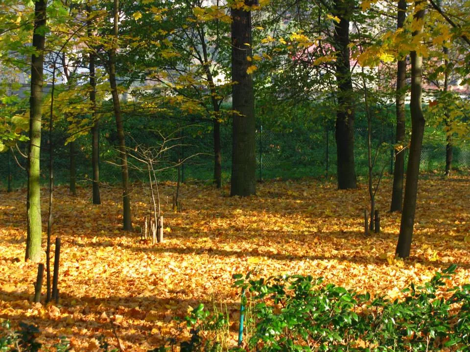 Św. Janie Bosko, dzięki za pogodę!