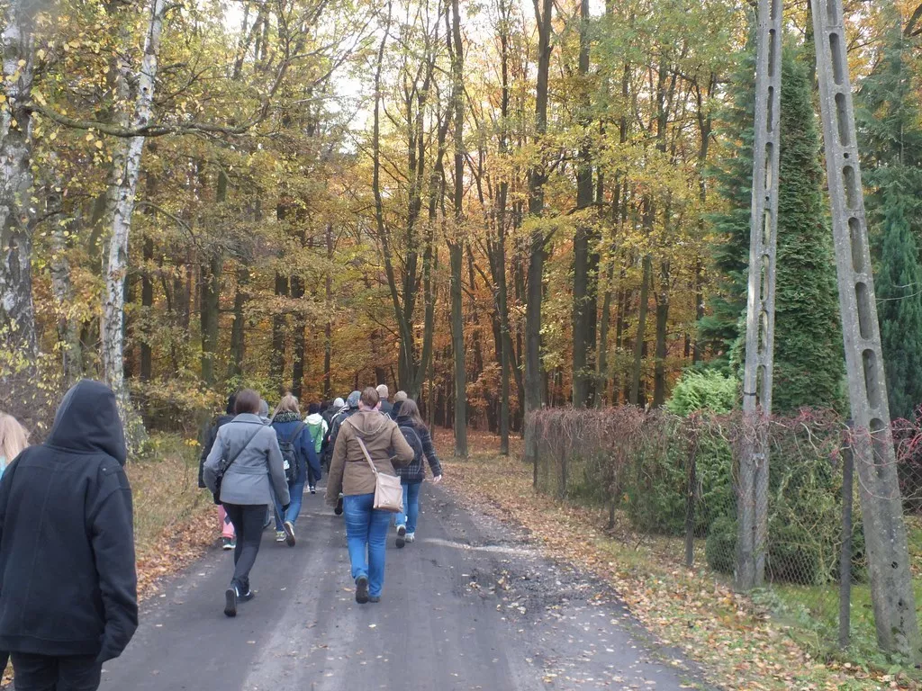 Idąc przez las wypatrywaliśmy grzybów.