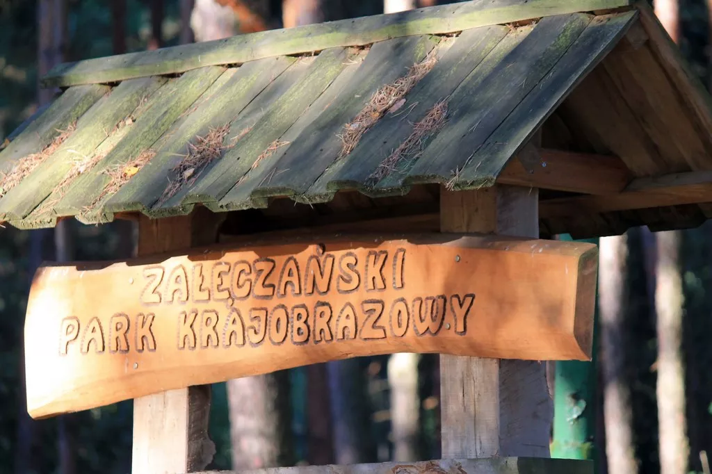 Obóz odbył się na terenie Załęczańskiego Parku Krajobrazowego.