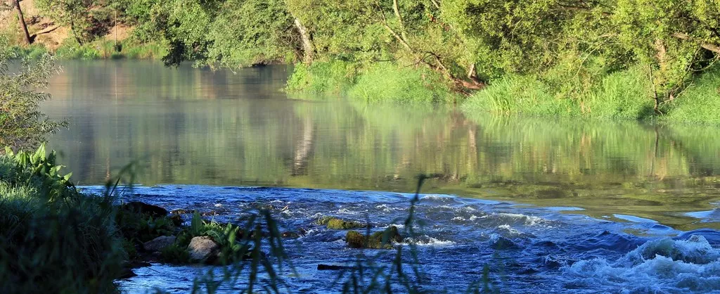 Poranek na terenie obozu (rzeka Warta).