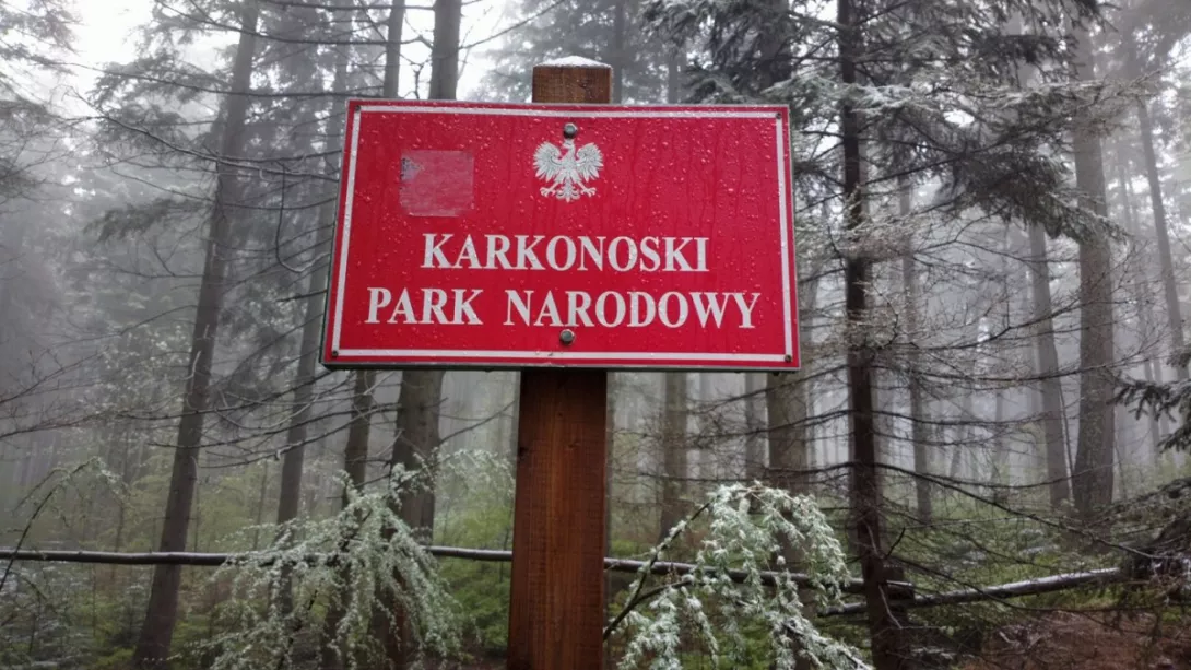 dotarlismy w Karkonosze