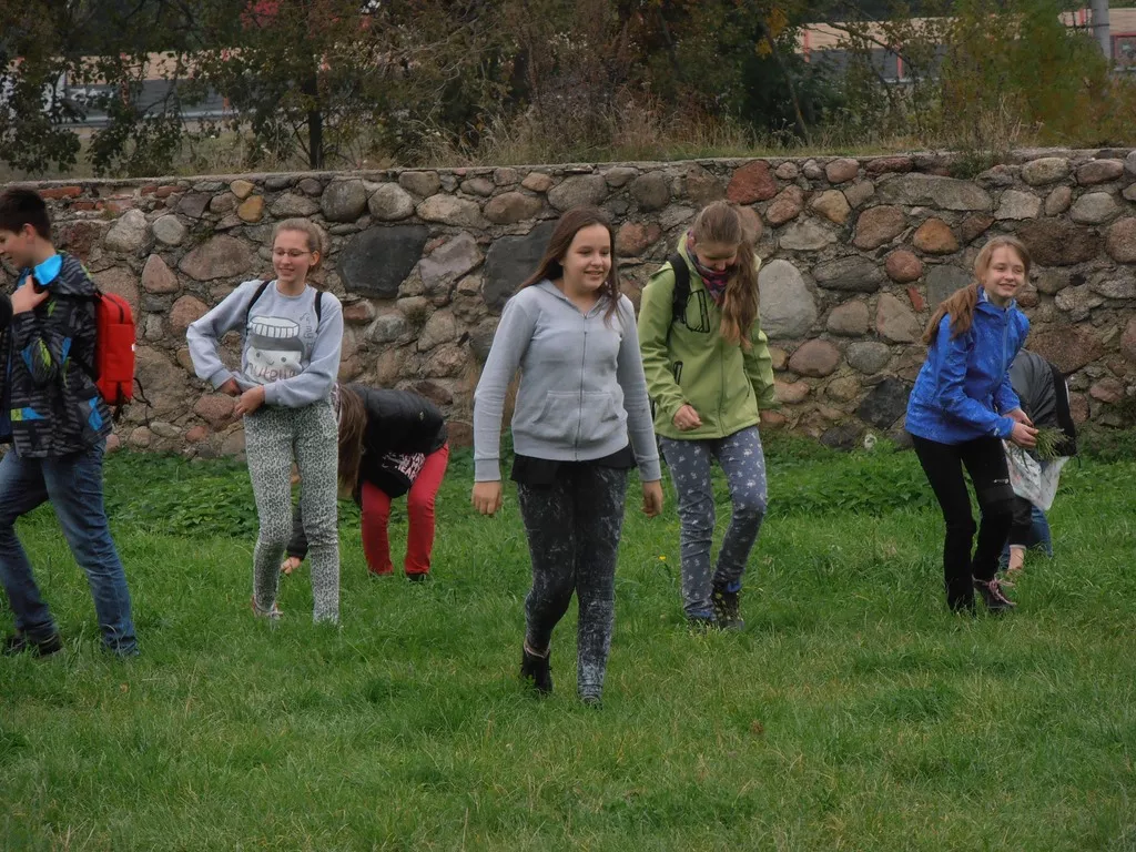 Wojna trawę