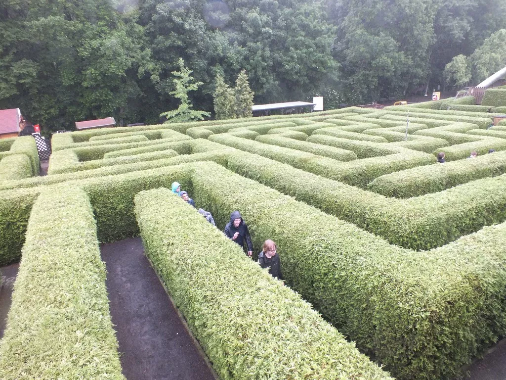 w labiryncie Kleinwelka