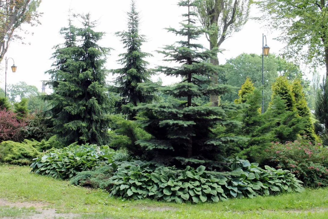 Dzień z wychowawcą  - II a SG .