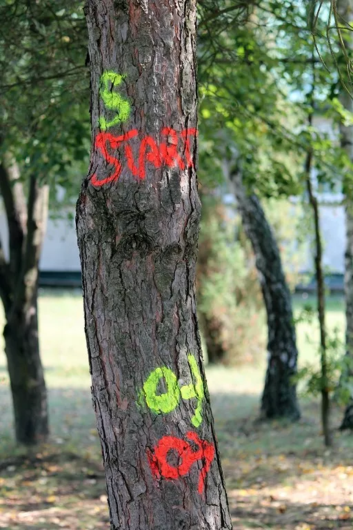 Obóz integracyjny klas pierwszych- Załęcze Wielkie 2014