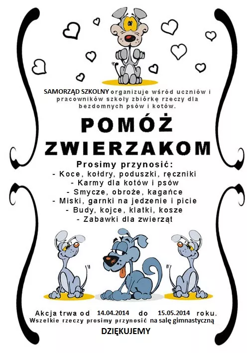 "Walczymy z bezdomnością zwierząt", czyli ruszył projekt edukacyjny klasy IIe gimnazjum