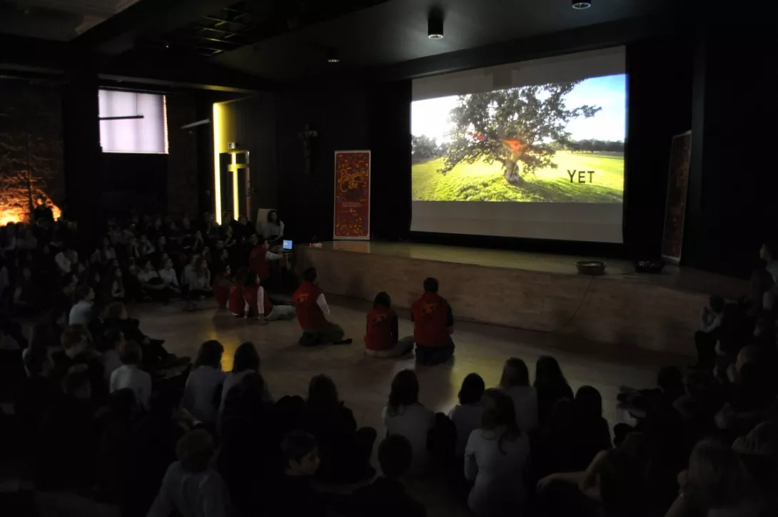 (fot.Robert Jaszczuk)