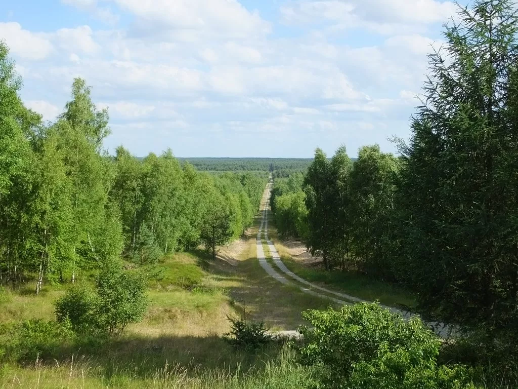 widok z bunkra na były poligon