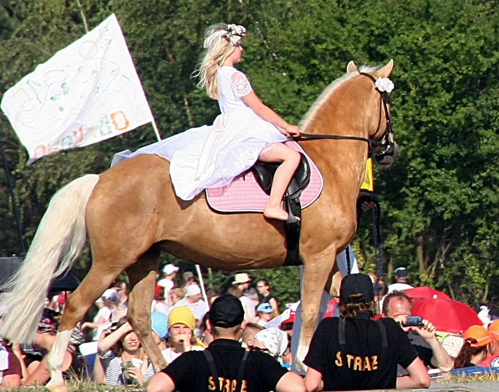  XIX Spotkanie Młodych Lednica 2015.