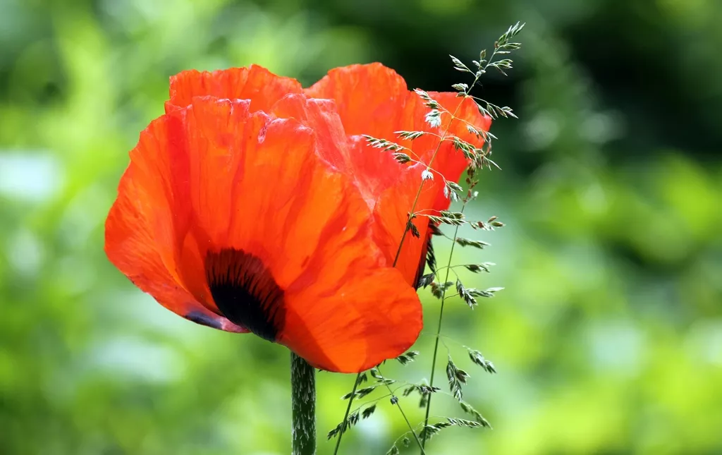 Skansen Kurpiowski w Nowogrodzie.