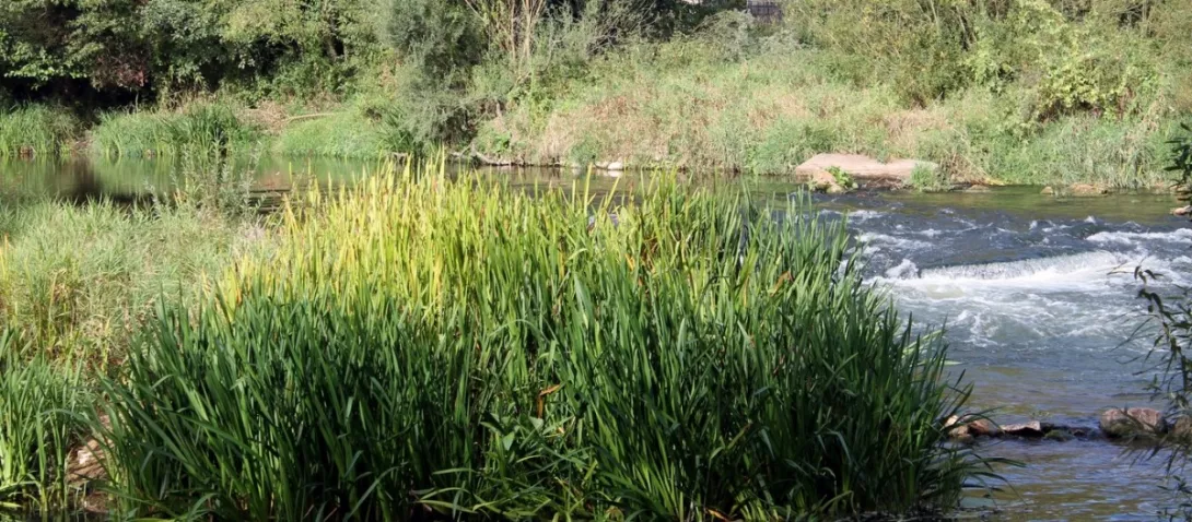  Obóz integracyjny klas pierwszych 2015  