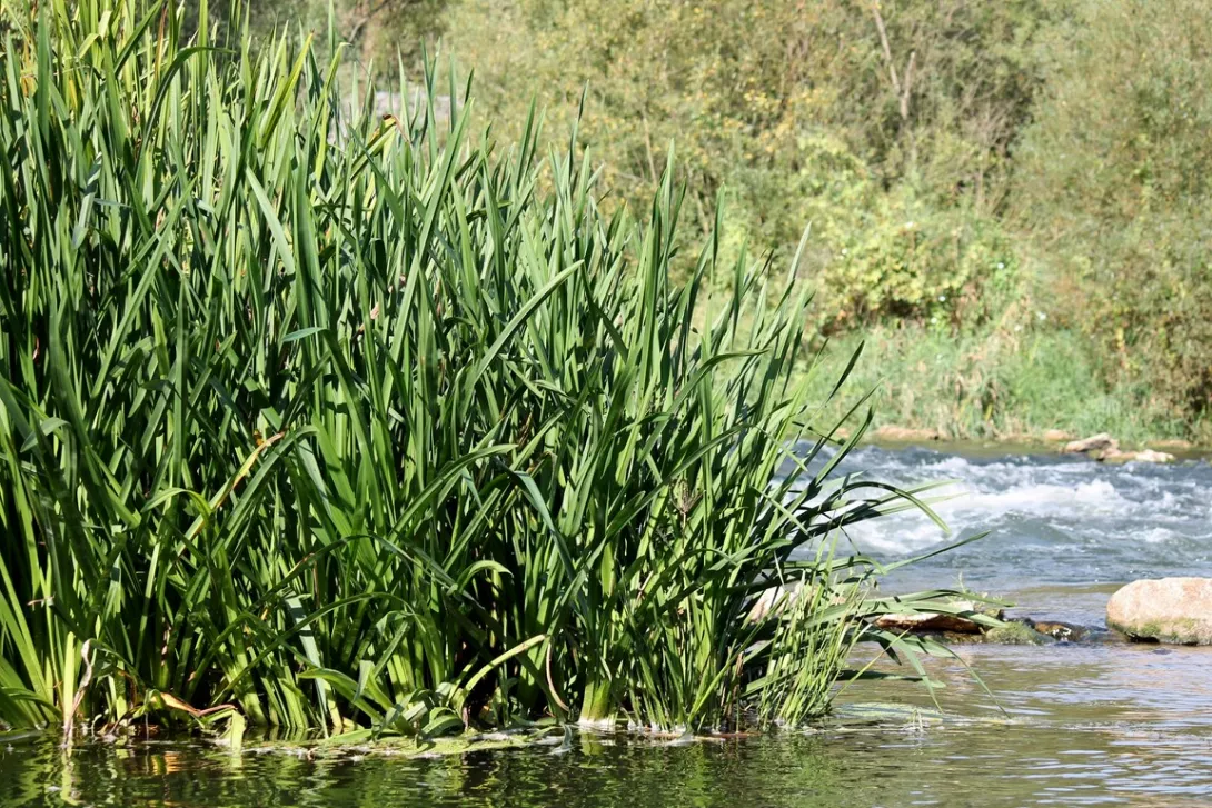  Obóz integracyjny klas pierwszych 2015  