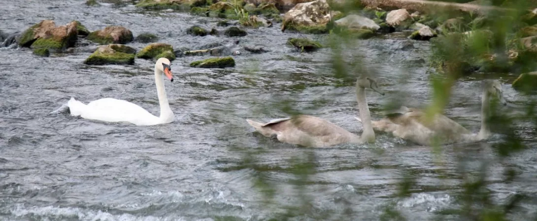  Obóz integracyjny klas pierwszych 2015  