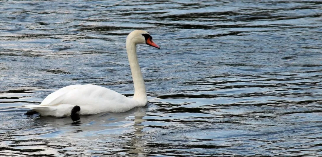  Obóz integracyjny klas pierwszych 2015  