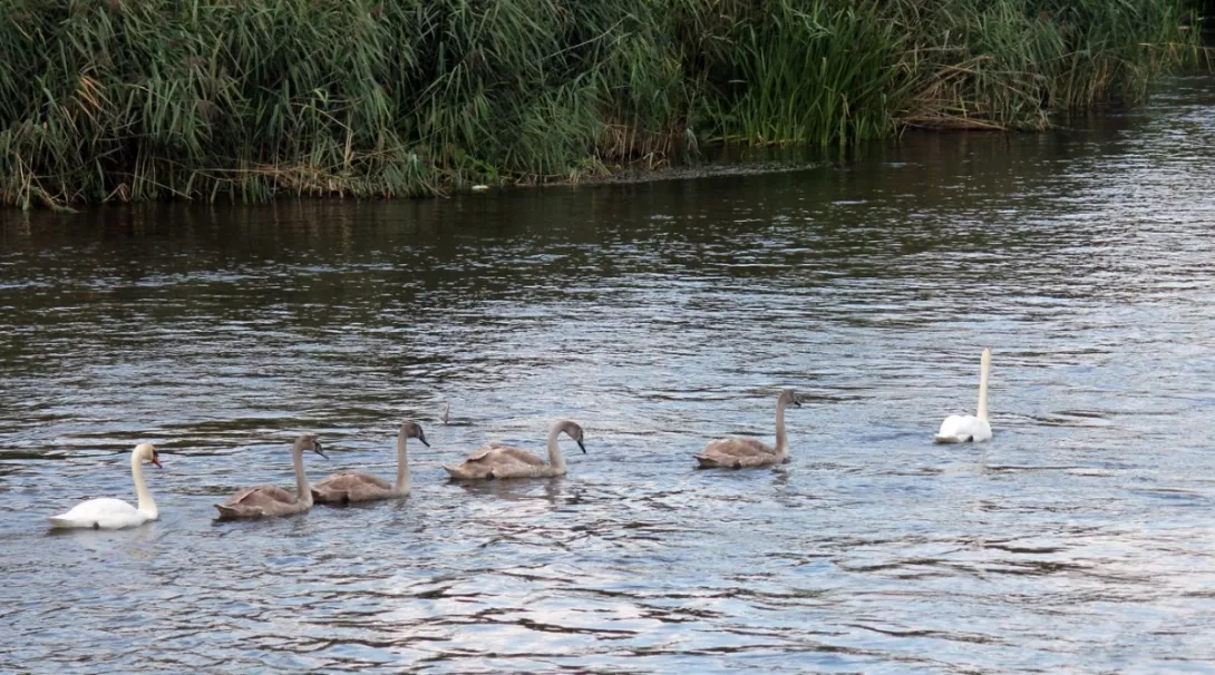  Obóz integracyjny klas pierwszych 2015  