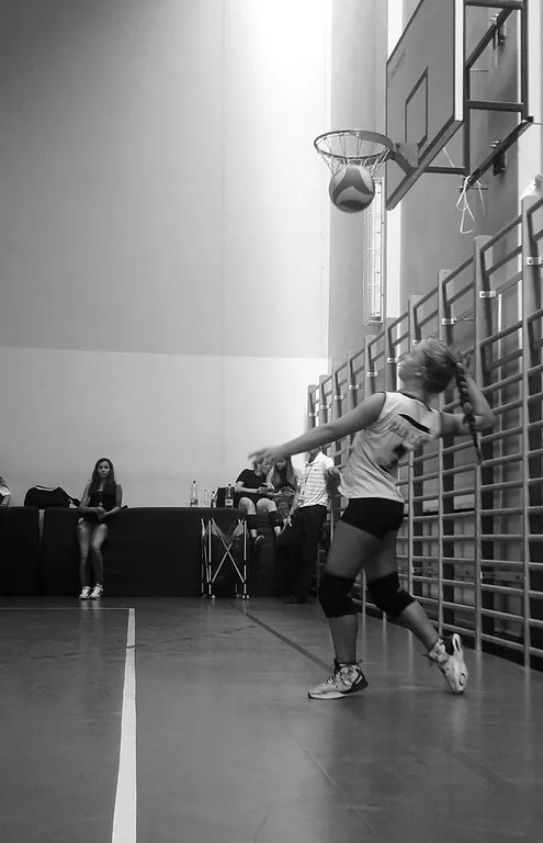 Igrzyska sportowe 2016.