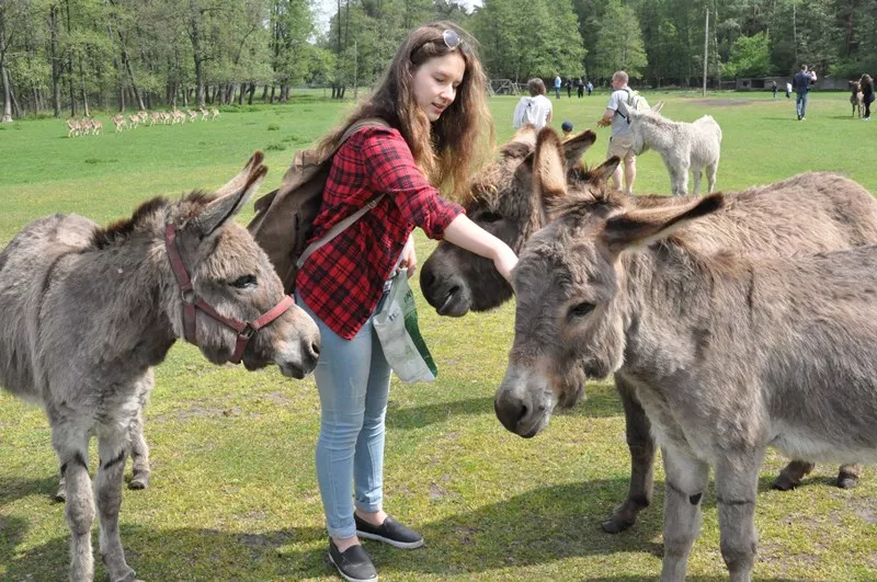 Wycieczka klasowa gimnazjalistów IIIA i IIIB Wilkasy