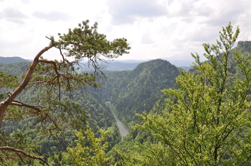 Wycieczka klasowa IIB Pieniny