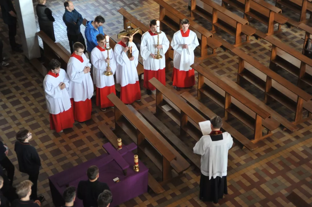 (fot.Robert Jaszczuk)