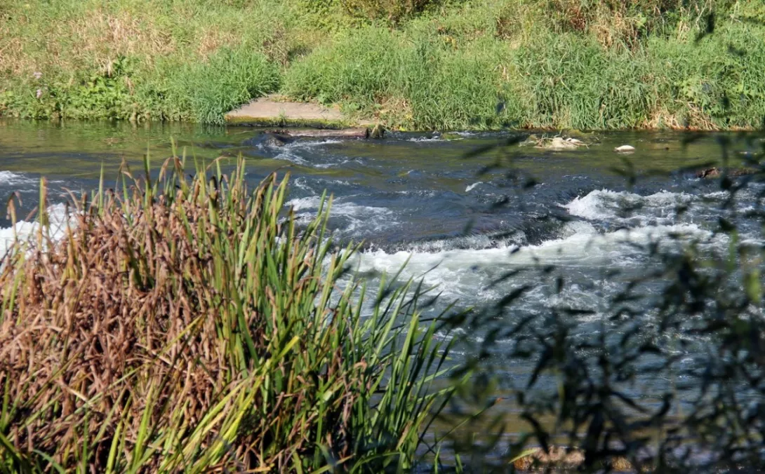 Obóz integracyjny 2016.