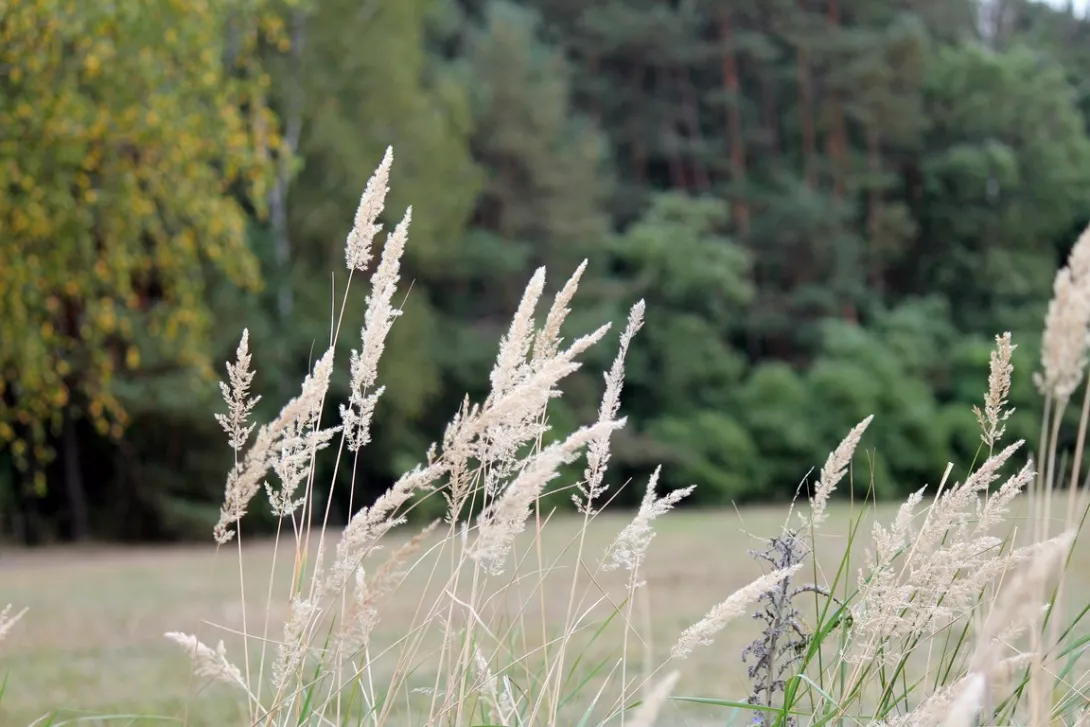 Obóz integracyjny 2016.