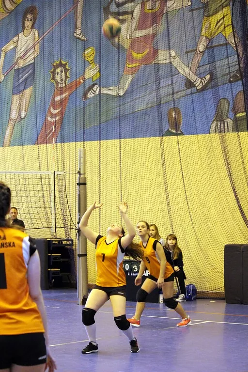 Licealiada i gimnazjada 2016