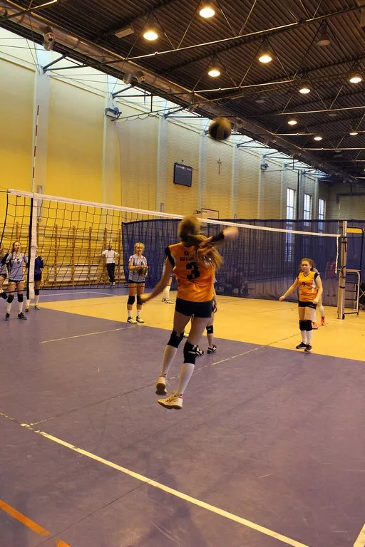 Licealiada i gimnazjada 2016