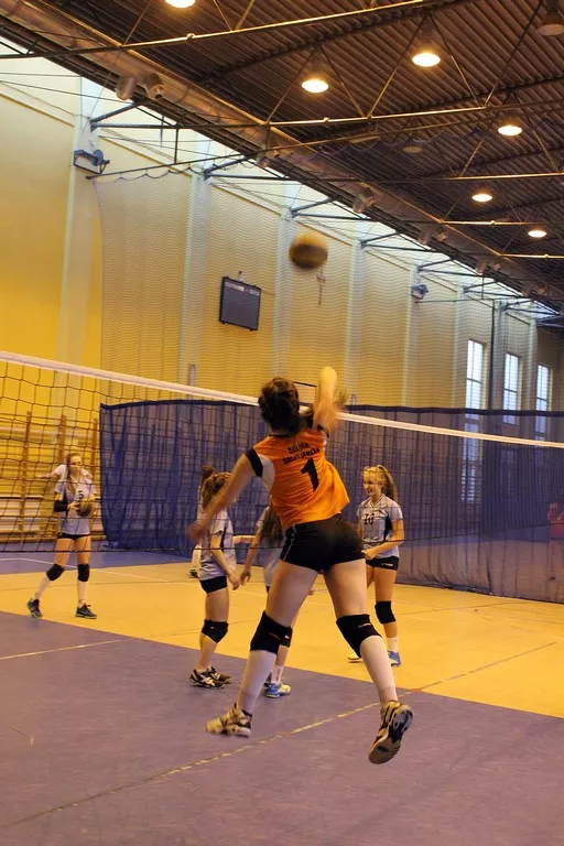 Licealiada i gimnazjada 2016