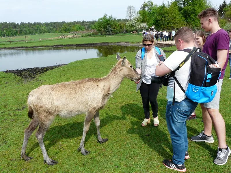 Wycieczka klasowa gimnazjalistów IIIA i IIIB Wilkasy