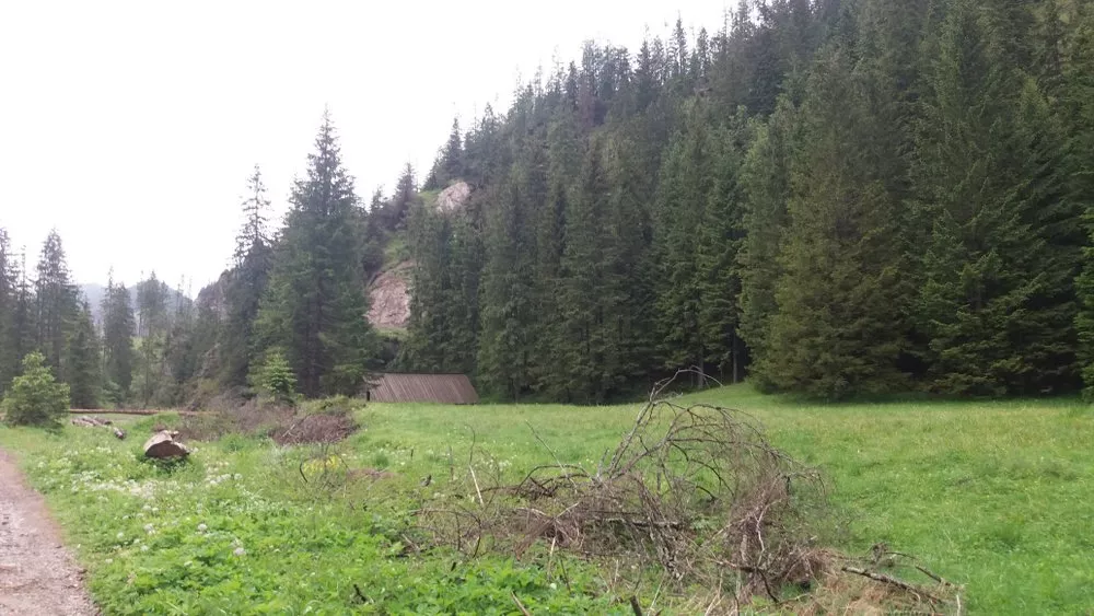 Wycieczka Ib SG