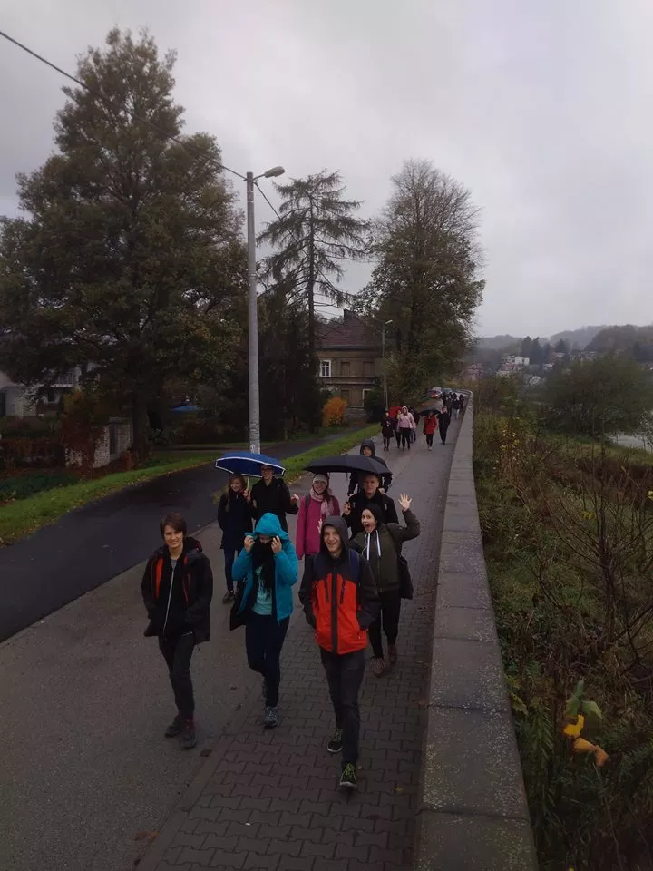 W drodze na wystawę (a może do baru mlecznego)