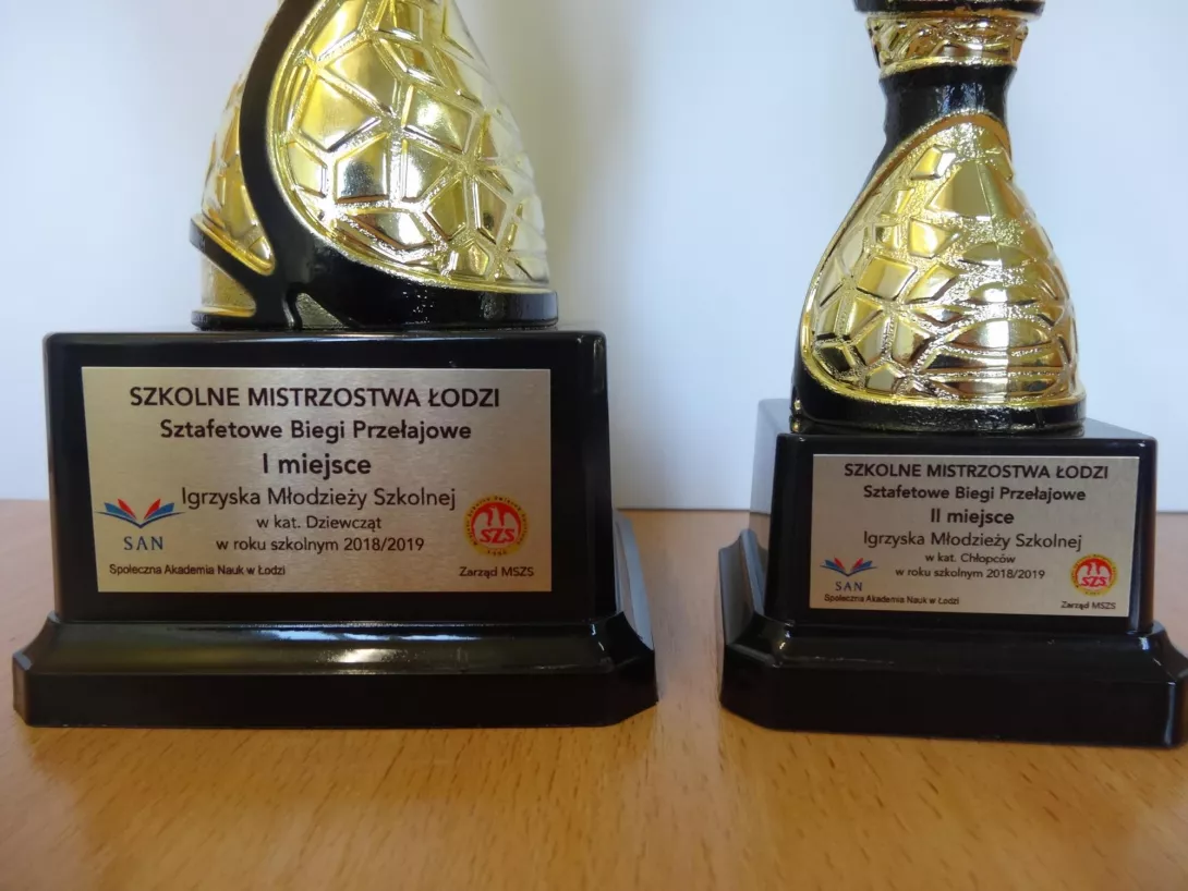 Mistrzostwa Łodzi w sztafetowych biegach przełajowych