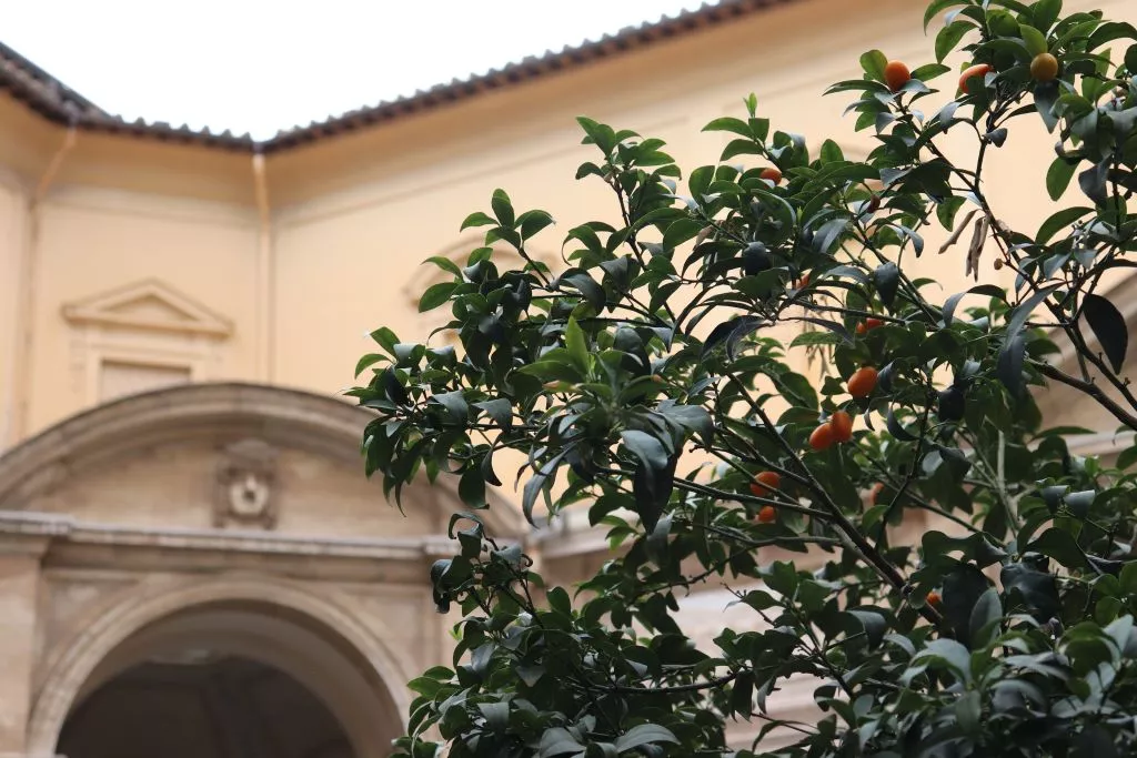 Rzym okiem Antoniego