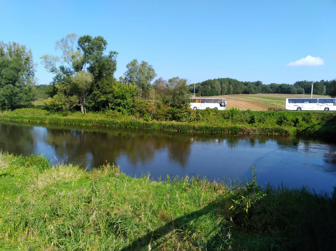 Wyjeżdżamy z lasu.