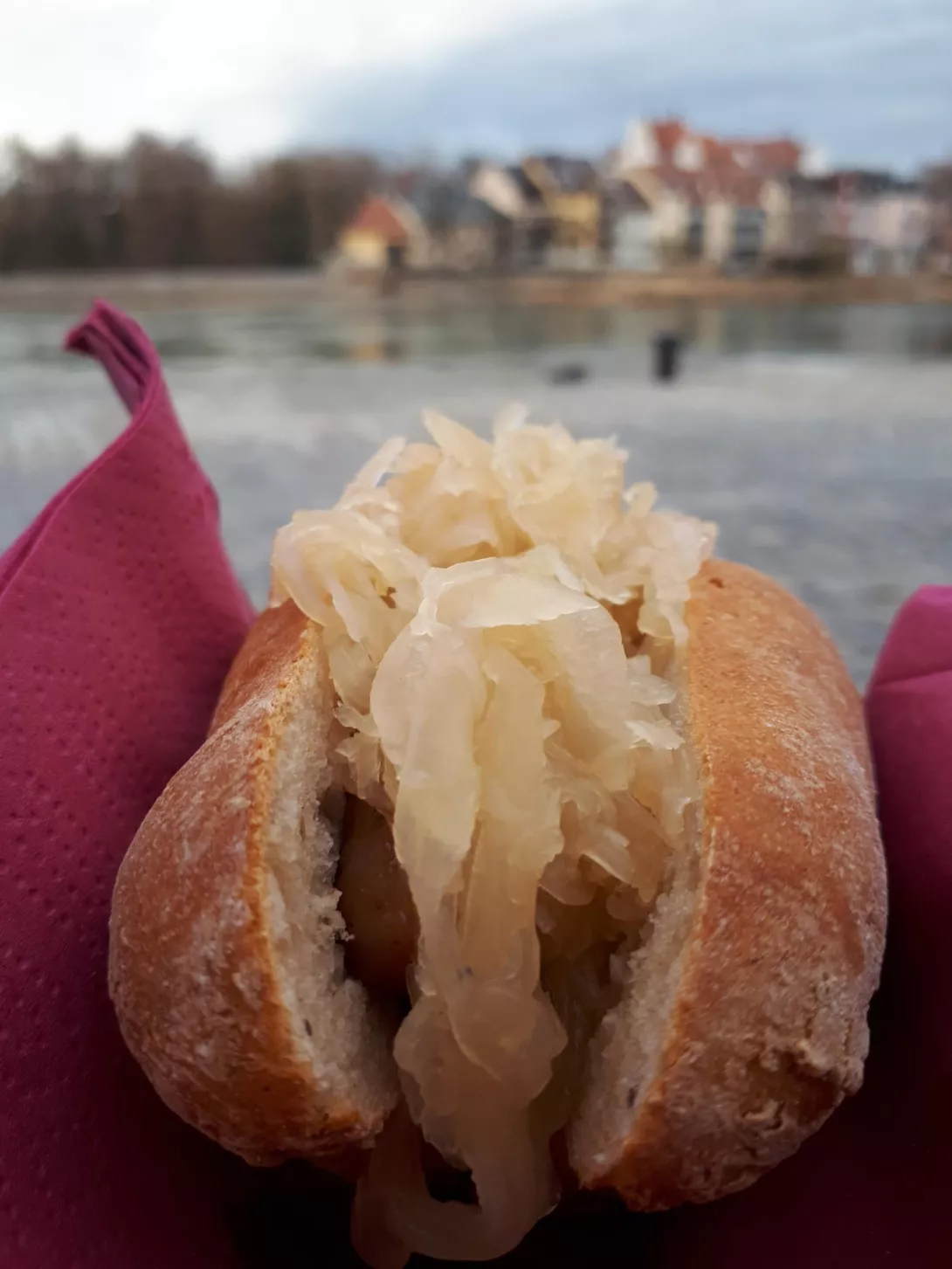 Regensburg Erasmus