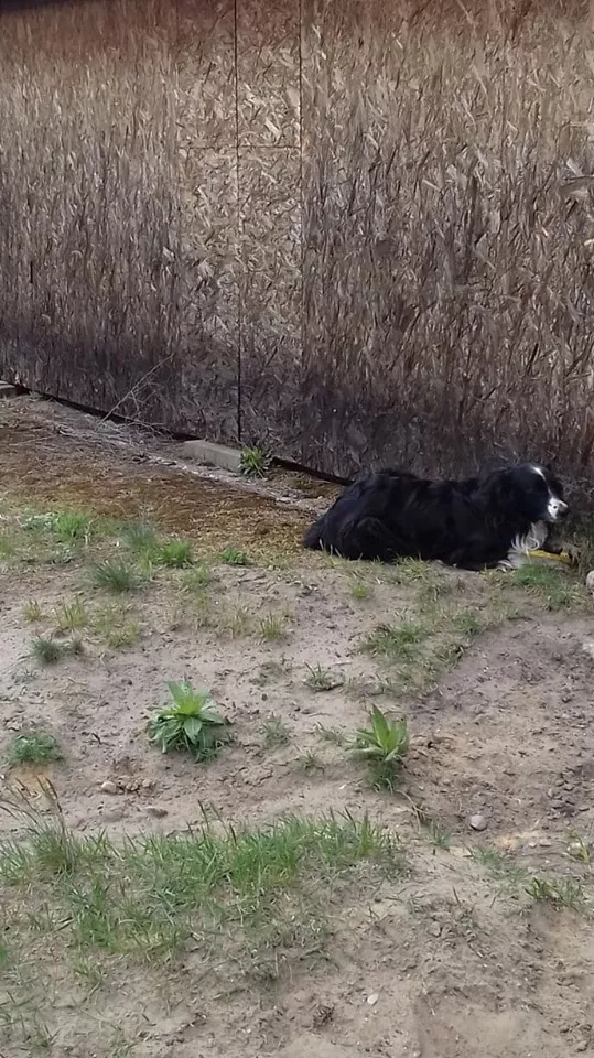 Z wizytą na łódzkim lotnisku