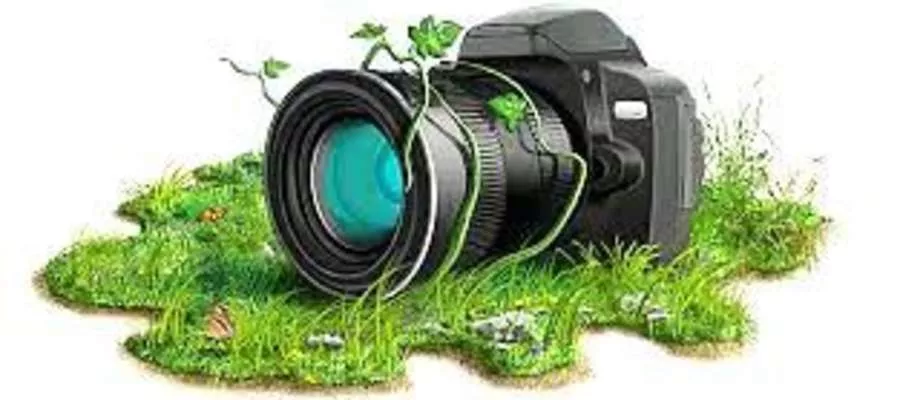 Konkurs fotograficzny
