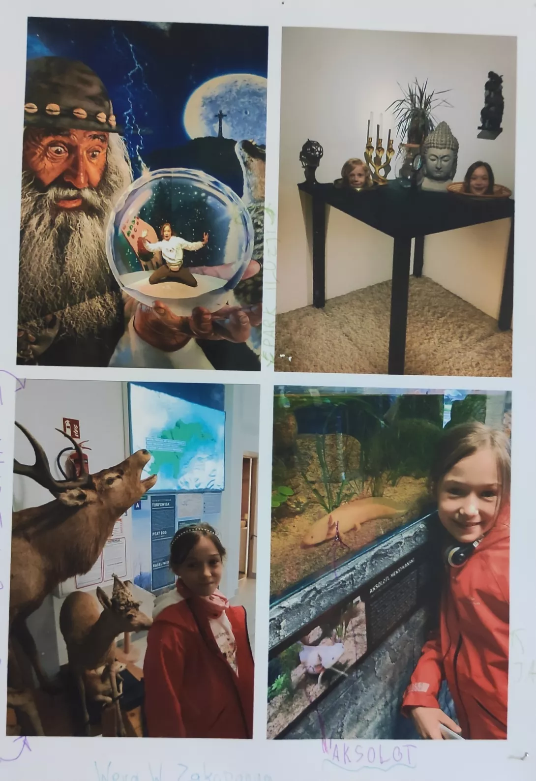 Wystawa fotograficzna "Wędrówki po Polsce"