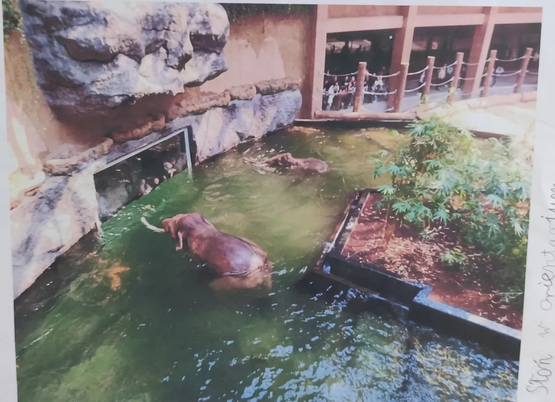 Wystawa fotograficzna "Wędrówki po Polsce"