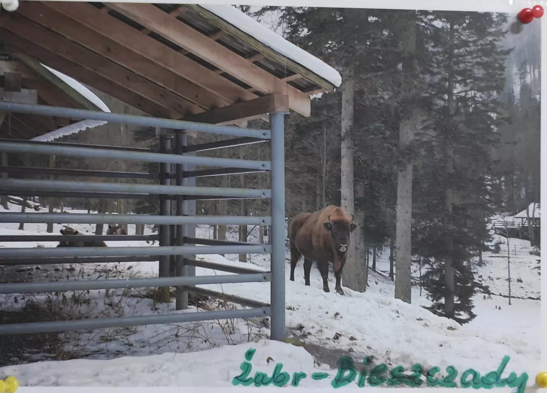 Wystawa fotograficzna "Wędrówki po Polsce"