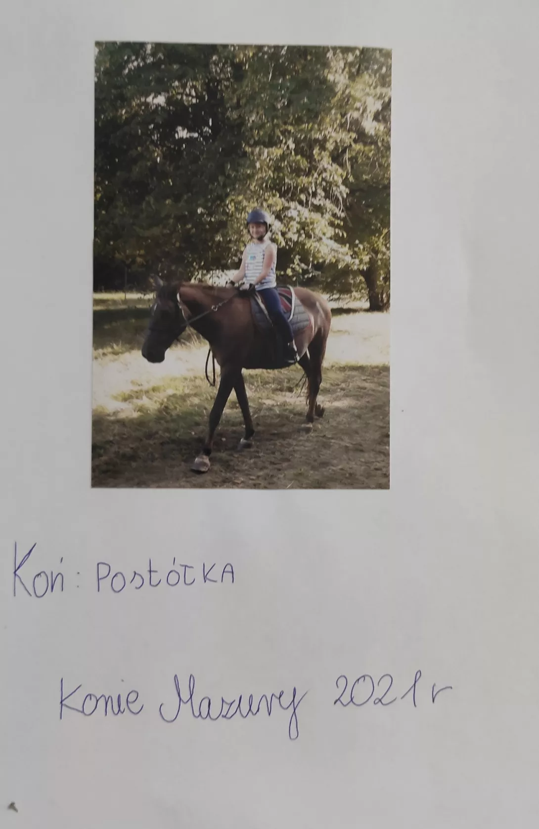 Wystawa fotograficzna "Wędrówki po Polsce"