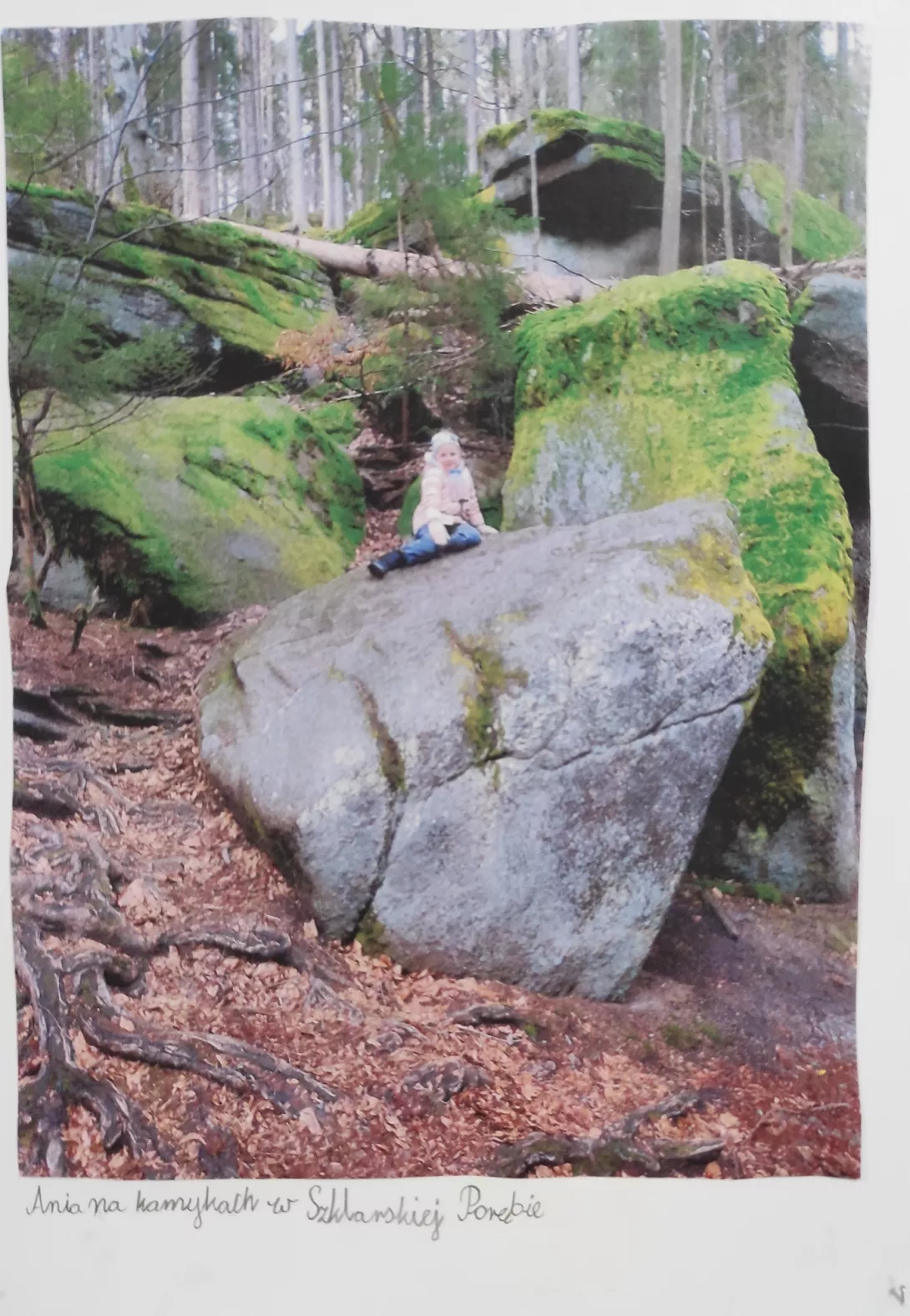 Wystawa fotograficzna "Wędrówki po Polsce"