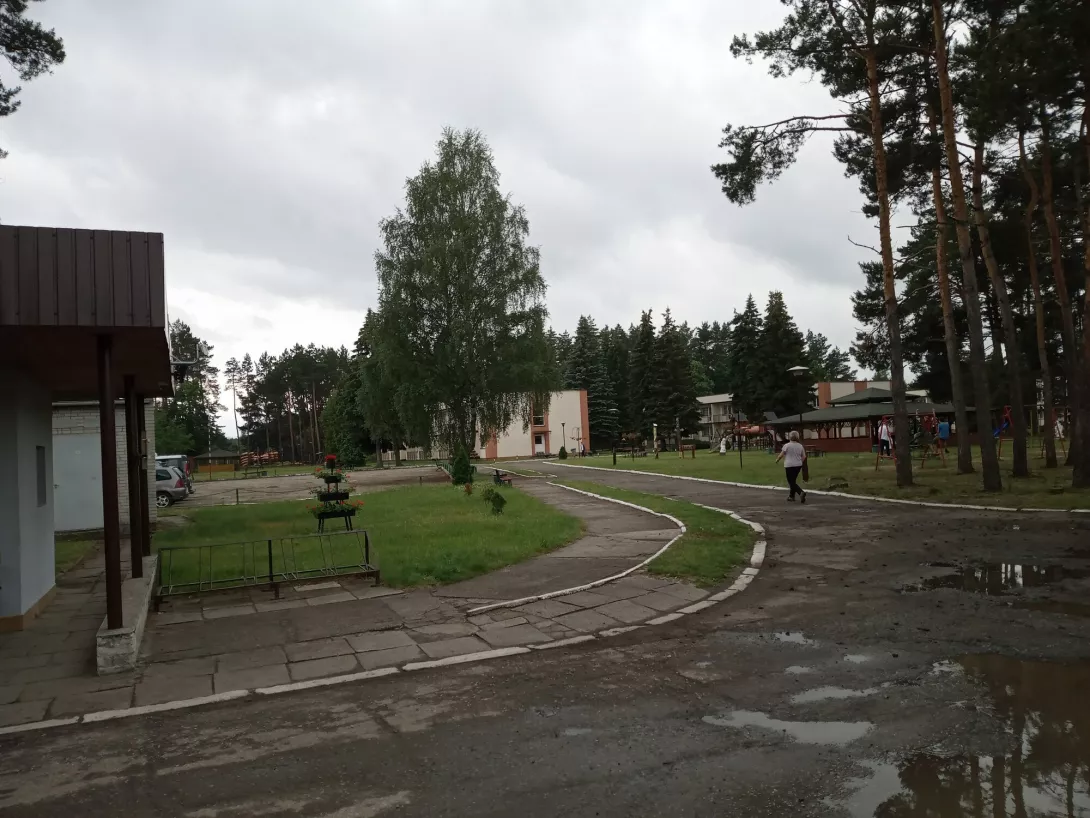 13.06