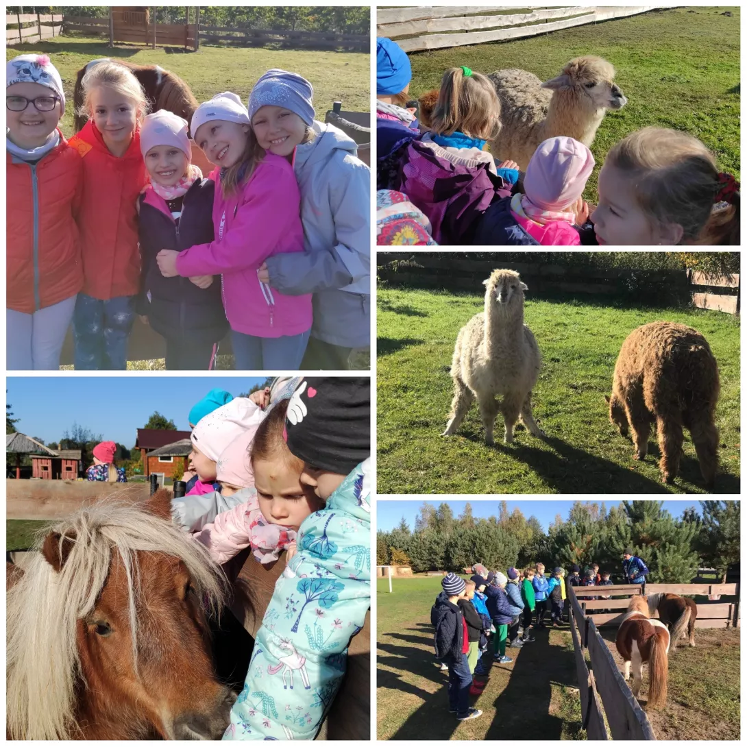 Michałówka 2a i 2b