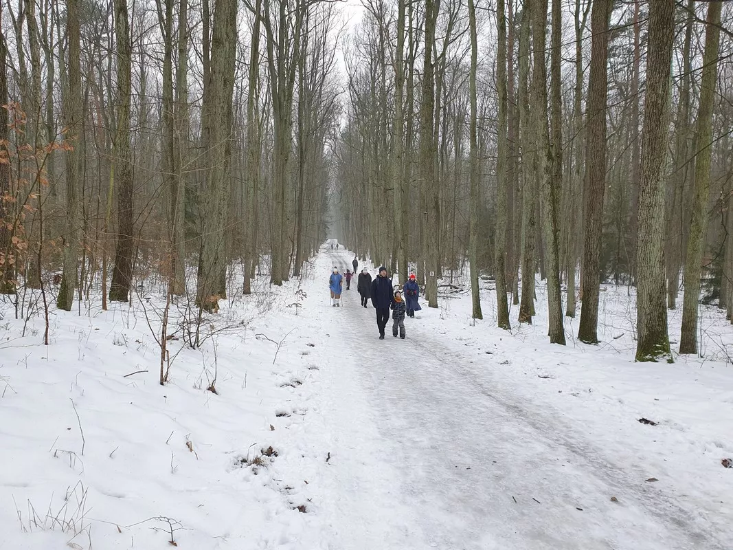 Las Łagiewnicki