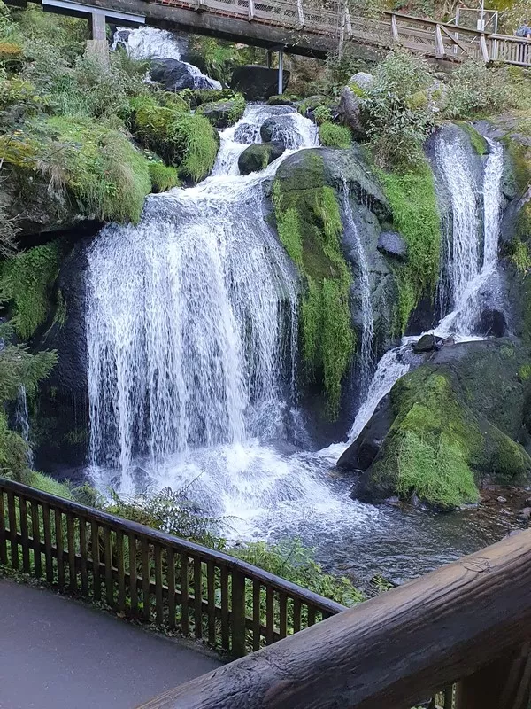 Triberg - najwyższe w Niemczech wodospady
