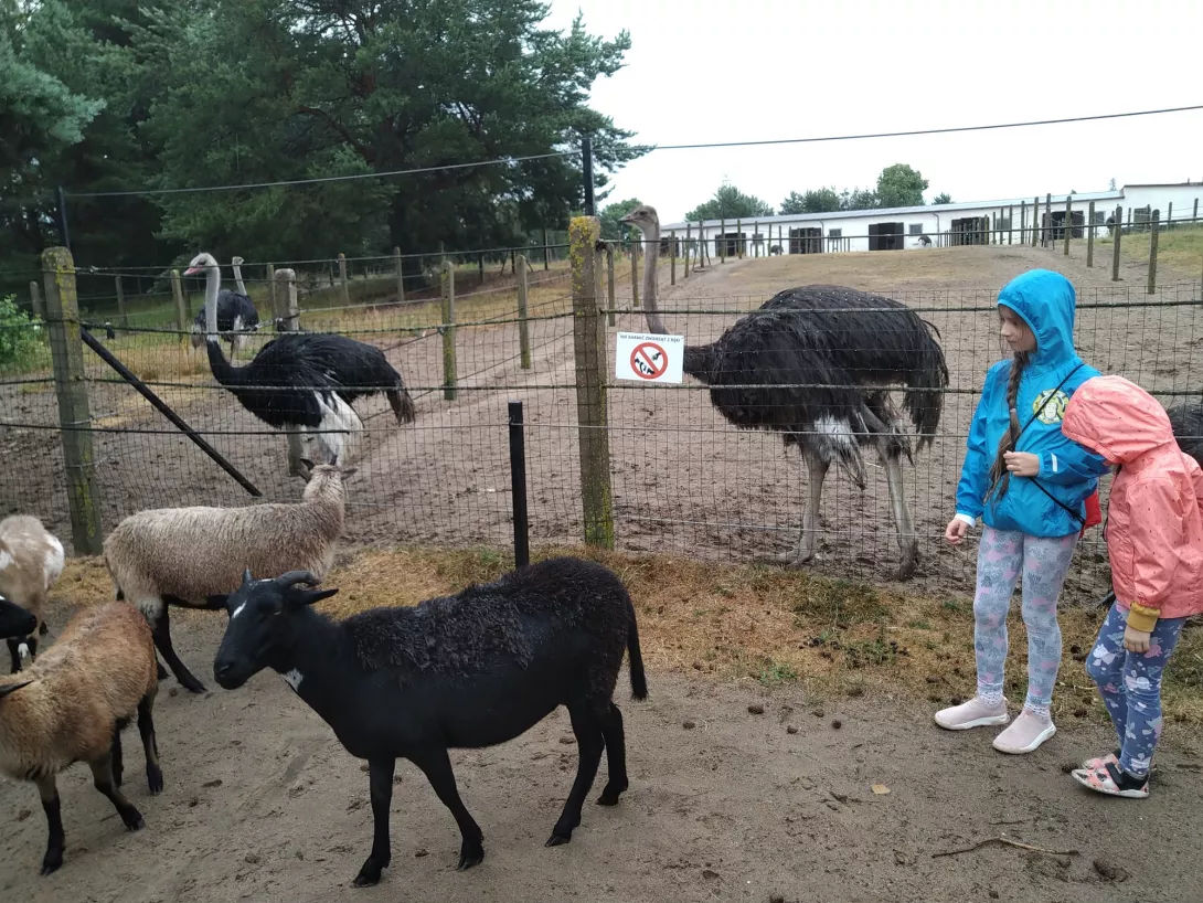 Kolonie na Kaszubach, dzień drugi