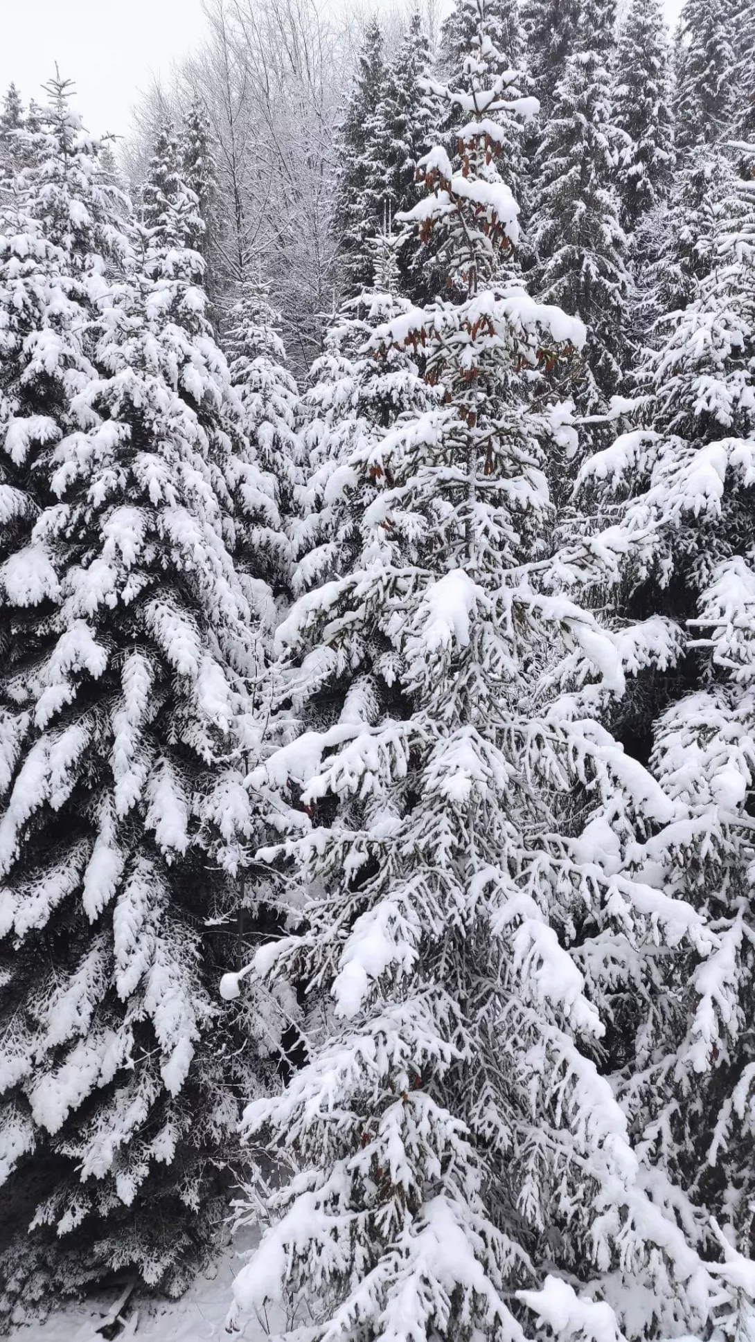 Zimowisko na Podhalu 2023