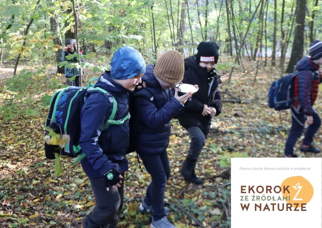 Uczniowie obserwują korony drzew z wykorzystaniem lusterka. Jedno z zadań warsztatowych. 